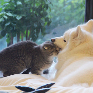 日本69啪啪视频
