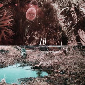 日本69啪啪视频
